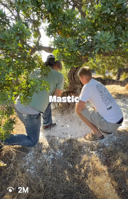 Behind the scenes